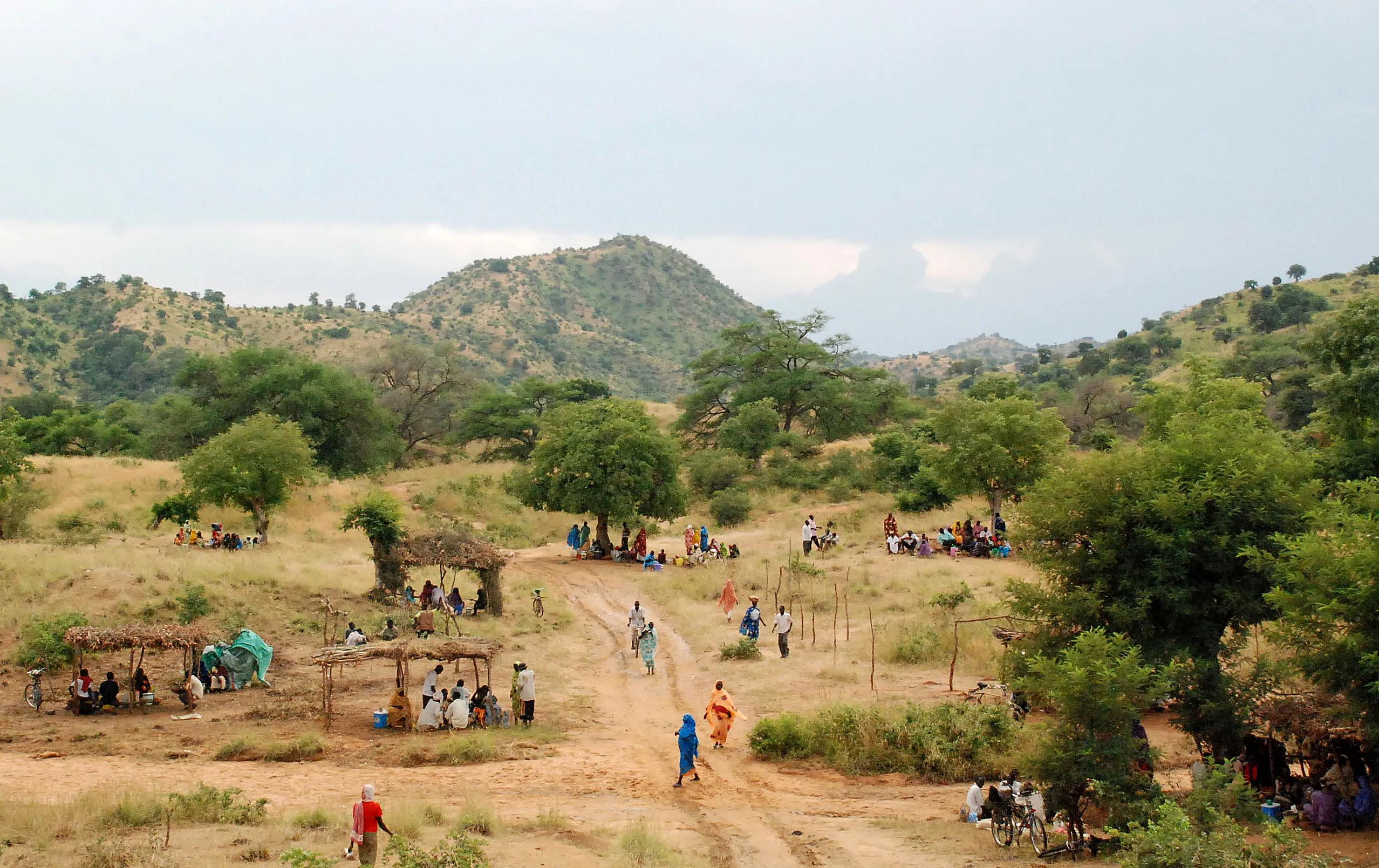RSF launches mediation push in Nuba Mountains