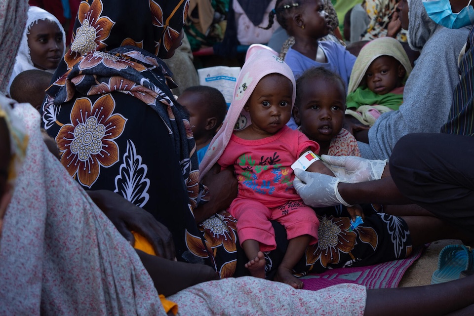 Over half of children surveyed in Jebel Marra stunted, aid group says