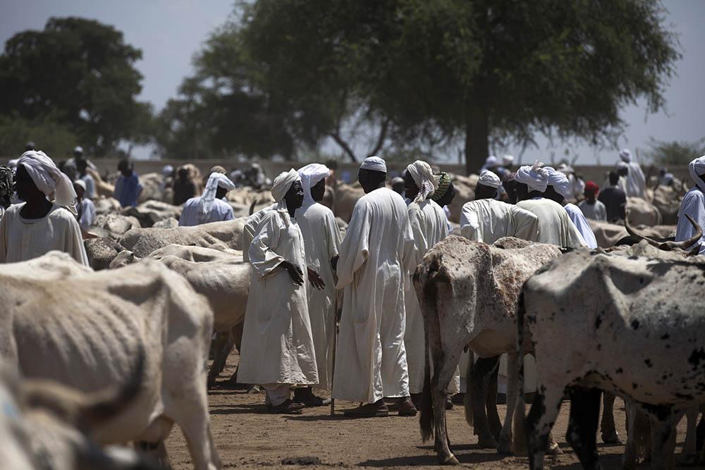 TASIS-held Darfur looks to West Africa for new trade links